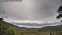 ./images/calvert/fitz-hugh-hecate/20260607/fitz-hugh-hecate20260607_174501M.jpg