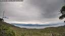 ./images/calvert/fitz-hugh-hecate/20260607/fitz-hugh-hecate20260607_180001M.jpg