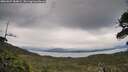 ./images/calvert/fitz-hugh-hecate/20260607/fitz-hugh-hecate20260607_184001M.jpg