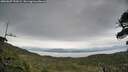 ./images/calvert/fitz-hugh-hecate/20260607/fitz-hugh-hecate20260607_192002M.jpg