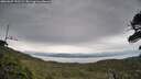 ./images/calvert/fitz-hugh-hecate/20260607/fitz-hugh-hecate20260607_192501M.jpg