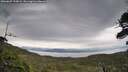 ./images/calvert/fitz-hugh-hecate/20260607/fitz-hugh-hecate20260607_193001M.jpg