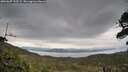 ./images/calvert/fitz-hugh-hecate/20260607/fitz-hugh-hecate20260607_193501M.jpg