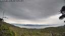 ./images/calvert/fitz-hugh-hecate/20260607/fitz-hugh-hecate20260607_194002M.jpg