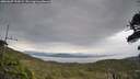 ./images/calvert/fitz-hugh-hecate/20260607/fitz-hugh-hecate20260607_194501M.jpg