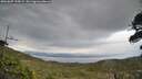 ./images/calvert/fitz-hugh-hecate/20260607/fitz-hugh-hecate20260607_195001M.jpg