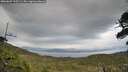 ./images/calvert/fitz-hugh-hecate/20260607/fitz-hugh-hecate20260607_195501M.jpg