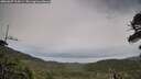 ./images/calvert/fitz-hugh-hecate/20260607/fitz-hugh-hecate20260607_204501M.jpg