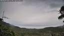./images/calvert/fitz-hugh-hecate/20260607/fitz-hugh-hecate20260607_205501M.jpg