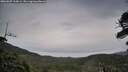 ./images/calvert/fitz-hugh-hecate/20260607/fitz-hugh-hecate20260607_210001M.jpg