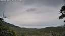 ./images/calvert/fitz-hugh-hecate/20260607/fitz-hugh-hecate20260607_210502M.jpg