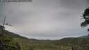 ./images/calvert/fitz-hugh-hecate/20260607/fitz-hugh-hecate20260607_211501M.jpg