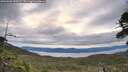 ./images/calvert/fitz-hugh-hecate/20260608/fitz-hugh-hecate20260608_053501M.jpg