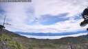 ./images/calvert/fitz-hugh-hecate/20260608/fitz-hugh-hecate20260608_103501M.jpg