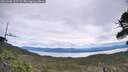 ./images/calvert/fitz-hugh-hecate/20260608/fitz-hugh-hecate20260608_112501M.jpg