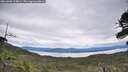 ./images/calvert/fitz-hugh-hecate/20260608/fitz-hugh-hecate20260608_114001M.jpg