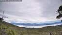 ./images/calvert/fitz-hugh-hecate/20260608/fitz-hugh-hecate20260608_114502M.jpg
