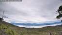 ./images/calvert/fitz-hugh-hecate/20260608/fitz-hugh-hecate20260608_115001M.jpg