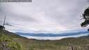 ./images/calvert/fitz-hugh-hecate/20260608/fitz-hugh-hecate20260608_115501M.jpg