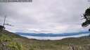./images/calvert/fitz-hugh-hecate/20260608/fitz-hugh-hecate20260608_120501M.jpg