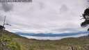 ./images/calvert/fitz-hugh-hecate/20260608/fitz-hugh-hecate20260608_144002M.jpg