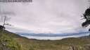./images/calvert/fitz-hugh-hecate/20260608/fitz-hugh-hecate20260608_154002M.jpg