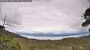 ./images/calvert/fitz-hugh-hecate/20260608/fitz-hugh-hecate20260608_160001M.jpg