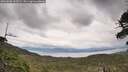 ./images/calvert/fitz-hugh-hecate/20260608/fitz-hugh-hecate20260608_163501M.jpg