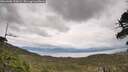 ./images/calvert/fitz-hugh-hecate/20260608/fitz-hugh-hecate20260608_164001M.jpg