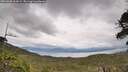 ./images/calvert/fitz-hugh-hecate/20260608/fitz-hugh-hecate20260608_164501M.jpg