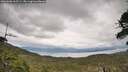 ./images/calvert/fitz-hugh-hecate/20260608/fitz-hugh-hecate20260608_165501M.jpg