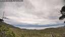 ./images/calvert/fitz-hugh-hecate/20260608/fitz-hugh-hecate20260608_171001M.jpg