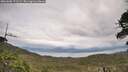 ./images/calvert/fitz-hugh-hecate/20260608/fitz-hugh-hecate20260608_171501M.jpg