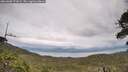 ./images/calvert/fitz-hugh-hecate/20260608/fitz-hugh-hecate20260608_172002M.jpg