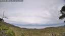 ./images/calvert/fitz-hugh-hecate/20260608/fitz-hugh-hecate20260608_175002M.jpg