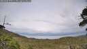 ./images/calvert/fitz-hugh-hecate/20260608/fitz-hugh-hecate20260608_175501M.jpg