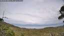./images/calvert/fitz-hugh-hecate/20260608/fitz-hugh-hecate20260608_180001M.jpg