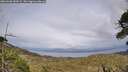 ./images/calvert/fitz-hugh-hecate/20260608/fitz-hugh-hecate20260608_182001M.jpg