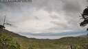 ./images/calvert/fitz-hugh-hecate/20260608/fitz-hugh-hecate20260608_191501M.jpg