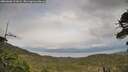 ./images/calvert/fitz-hugh-hecate/20260608/fitz-hugh-hecate20260608_192002M.jpg