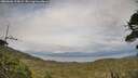 ./images/calvert/fitz-hugh-hecate/20260608/fitz-hugh-hecate20260608_193002M.jpg