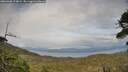 ./images/calvert/fitz-hugh-hecate/20260608/fitz-hugh-hecate20260608_194001M.jpg