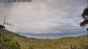 ./images/calvert/fitz-hugh-hecate/20260608/fitz-hugh-hecate20260608_194501M.jpg