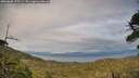 ./images/calvert/fitz-hugh-hecate/20260608/fitz-hugh-hecate20260608_195501M.jpg
