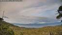 ./images/calvert/fitz-hugh-hecate/20260608/fitz-hugh-hecate20260608_200501M.jpg