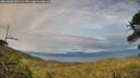 ./images/calvert/fitz-hugh-hecate/20260608/fitz-hugh-hecate20260608_201502M.jpg