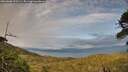 ./images/calvert/fitz-hugh-hecate/20260608/fitz-hugh-hecate20260608_202501M.jpg