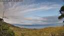 ./images/calvert/fitz-hugh-hecate/20260608/fitz-hugh-hecate20260608_204001M.jpg