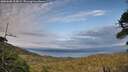 ./images/calvert/fitz-hugh-hecate/20260608/fitz-hugh-hecate20260608_205001M.jpg