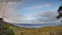./images/calvert/fitz-hugh-hecate/20260608/fitz-hugh-hecate20260608_205502M.jpg